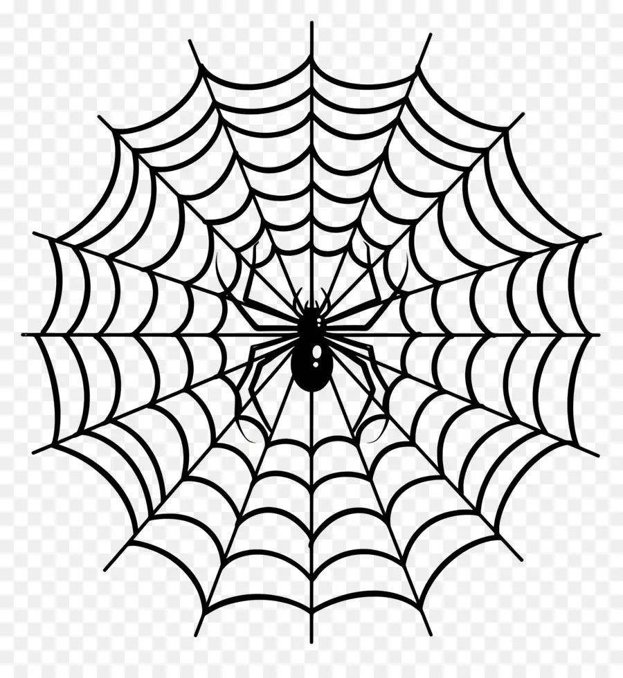 Halloween Spider Web，แมงมุมเว็บ PNG