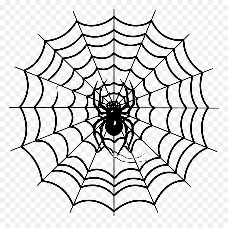 Halloween Spider Web，แมงมุมเว็บ PNG