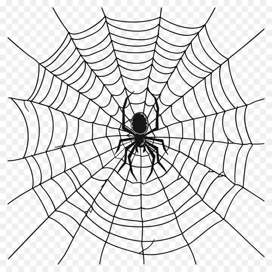 Halloween Spider Web，แมงมุมเว็บ PNG