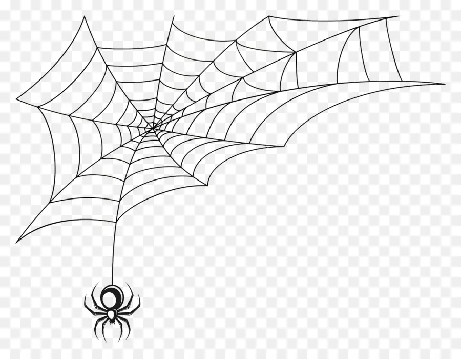 Halloween Spider Web，แมงมุมเว็บ PNG