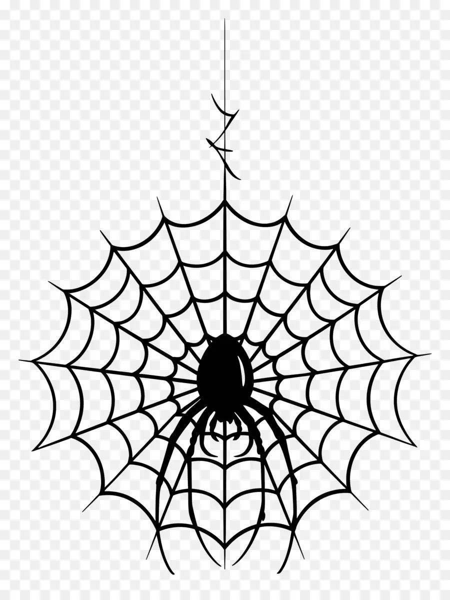 Halloween Spider Web，แมงมุมและเว็บ PNG