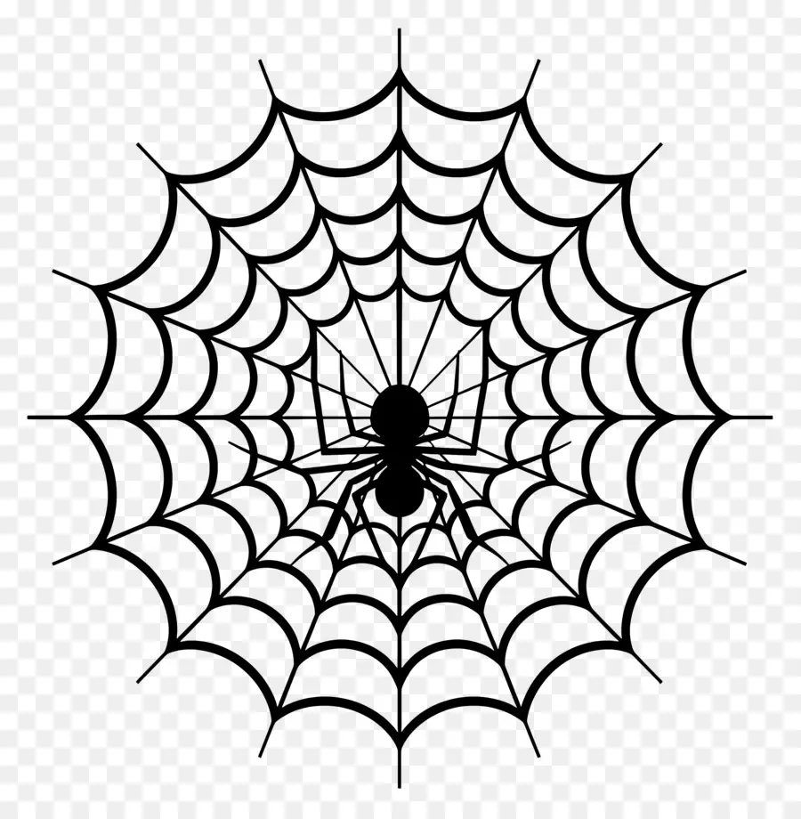 Halloween Spider Web，แมงมุมเว็บ PNG