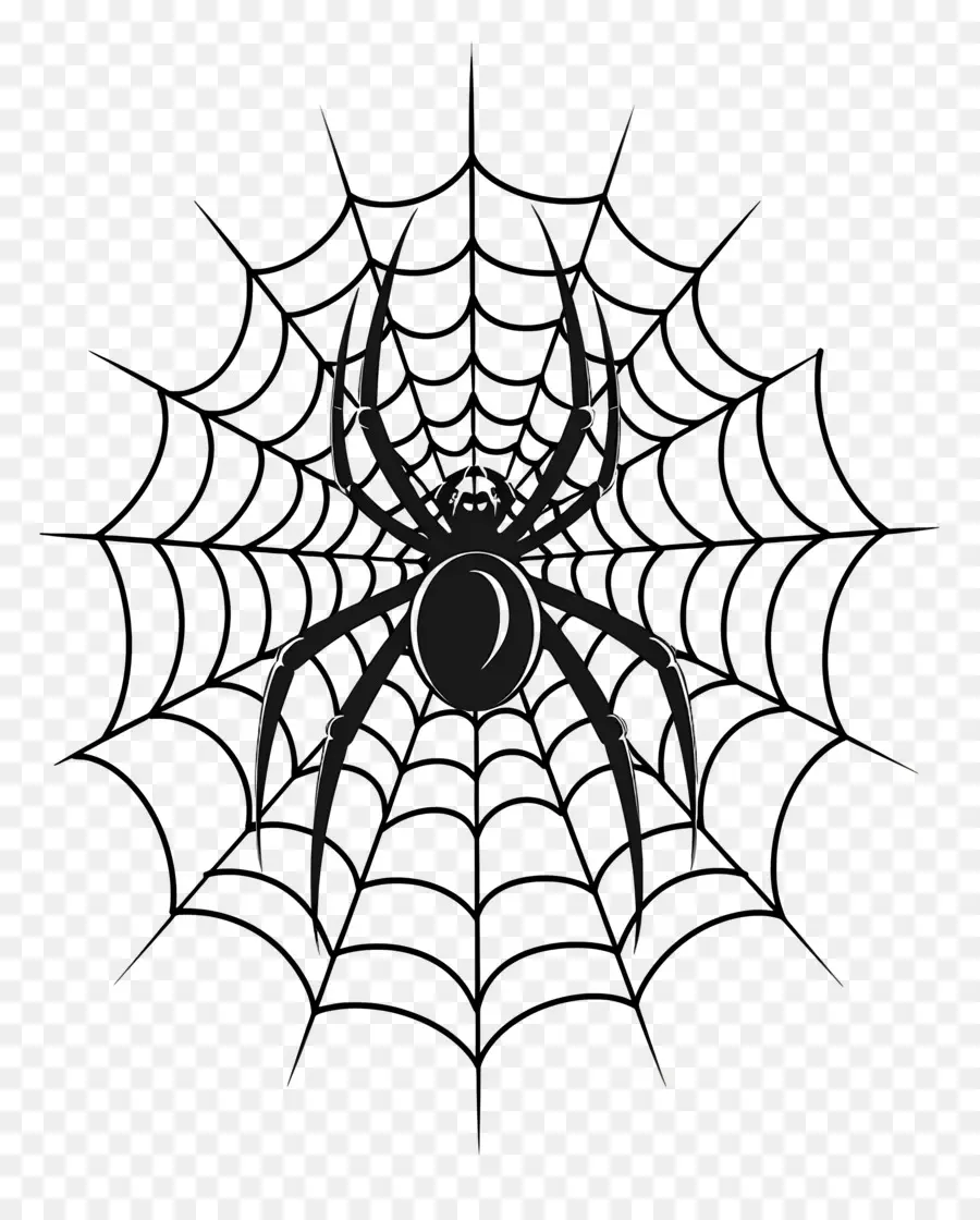 Halloween Spider Web，แมงมุมเว็บ PNG