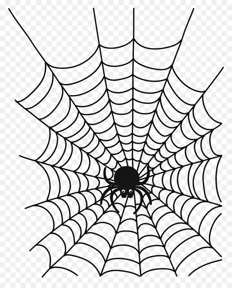 Halloween Spider Web，แมงมุมเว็บ PNG