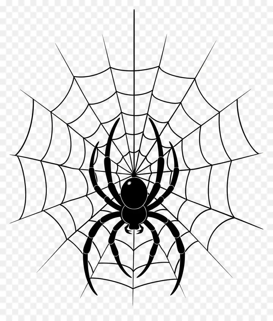 Halloween Spider Web，แมงมุม PNG