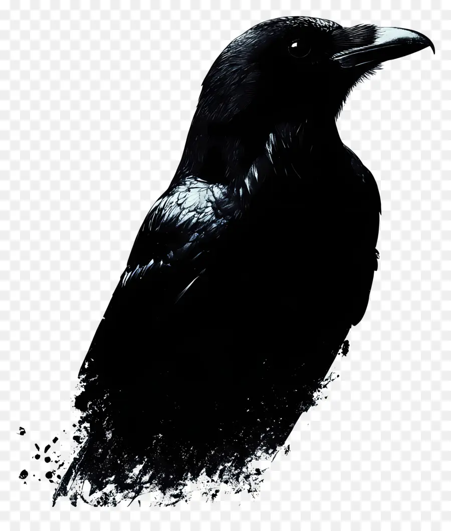 นกกาโกทิค，Silhouette Raven PNG