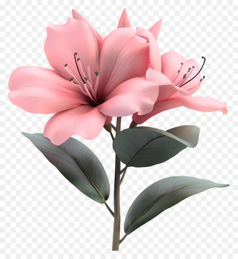 ดอกไม้ Azalea 3d，ดอกไม้สีชมพู PNG