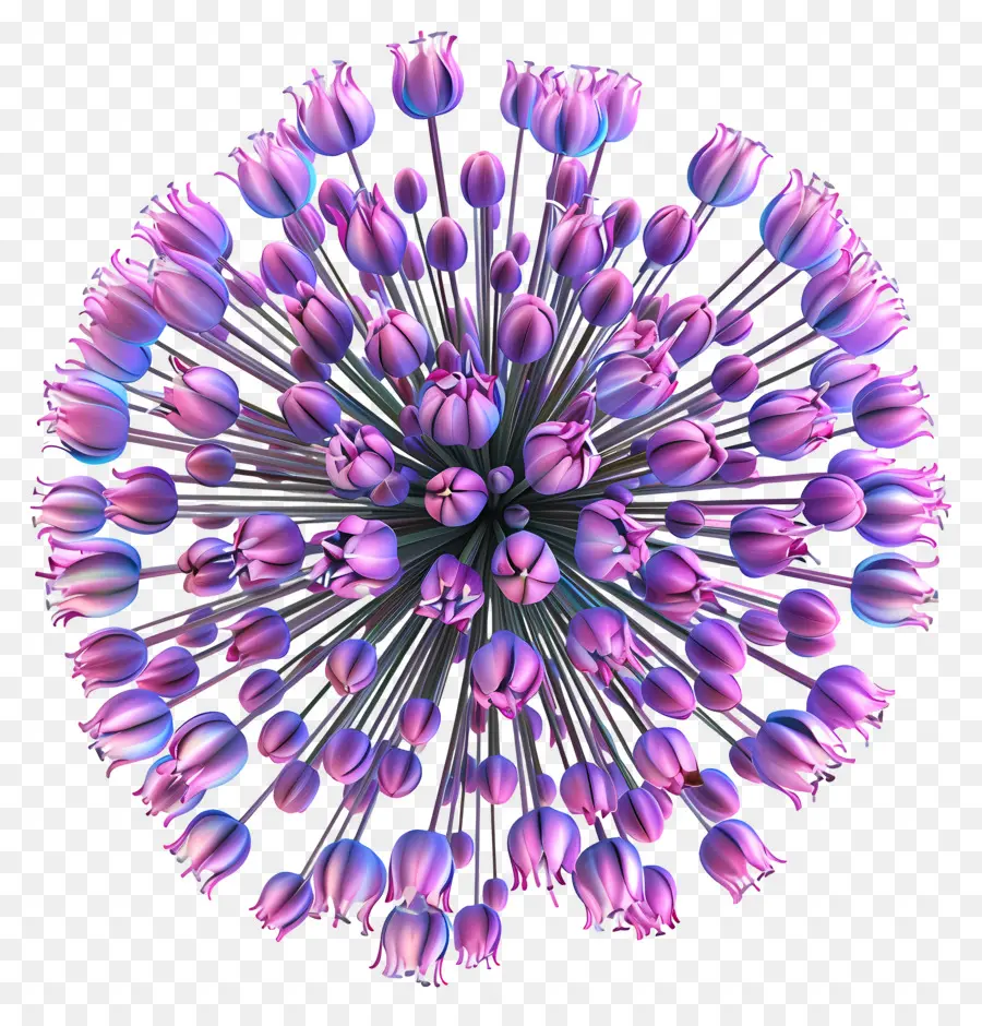 ดอกไม้ Allium 3d，ดอกไม้สีม่วง PNG