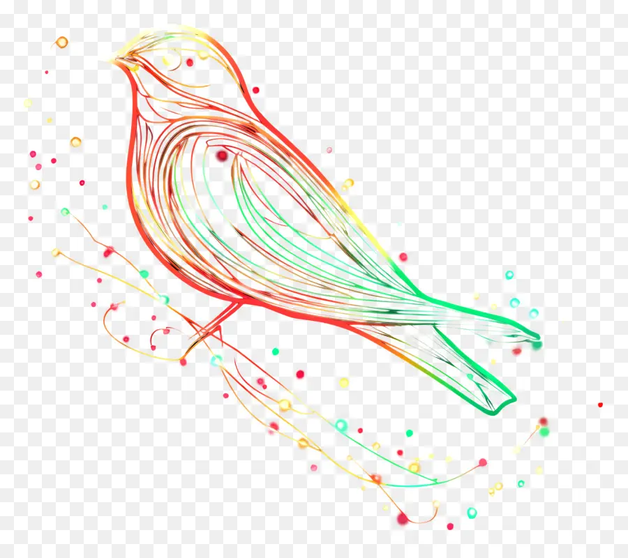 นกคริสต์มาส，Art Line Art Bird PNG