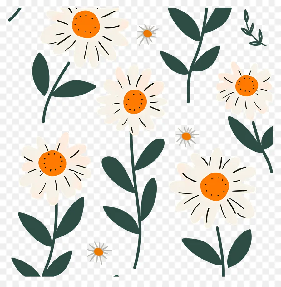 รูปแบบเดซี่，Doodle Daisies PNG