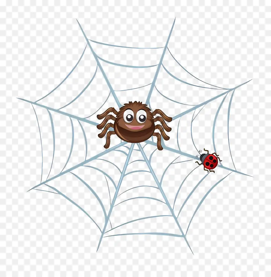 Halloween Spider Web，แมงมุม PNG