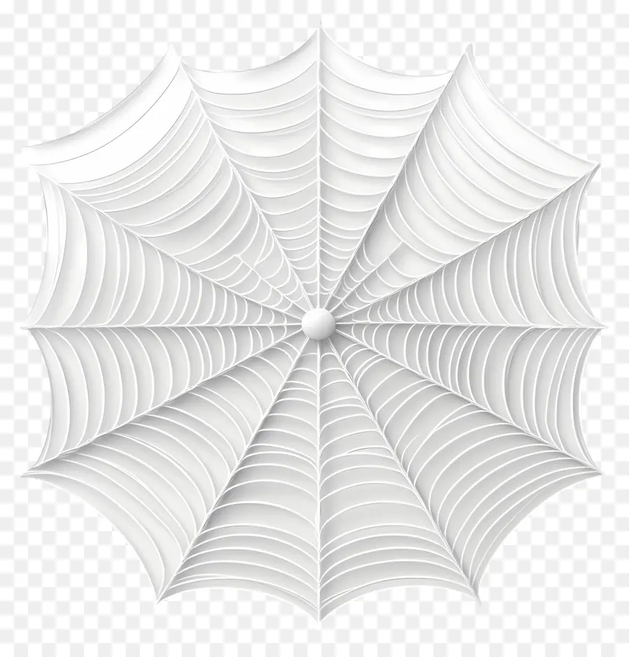 แมงมุมเว็บ，White Spider Web PNG