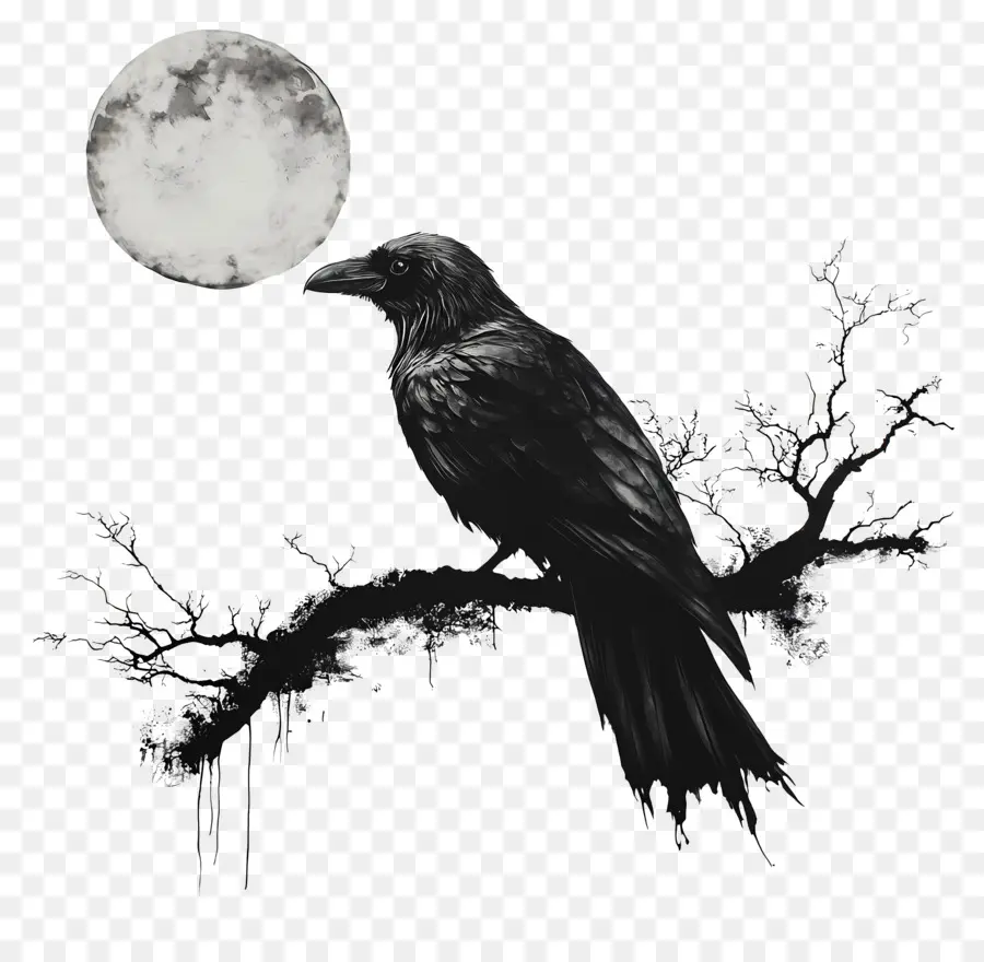 Raven ฮาโลวีน，Raven On Branch PNG