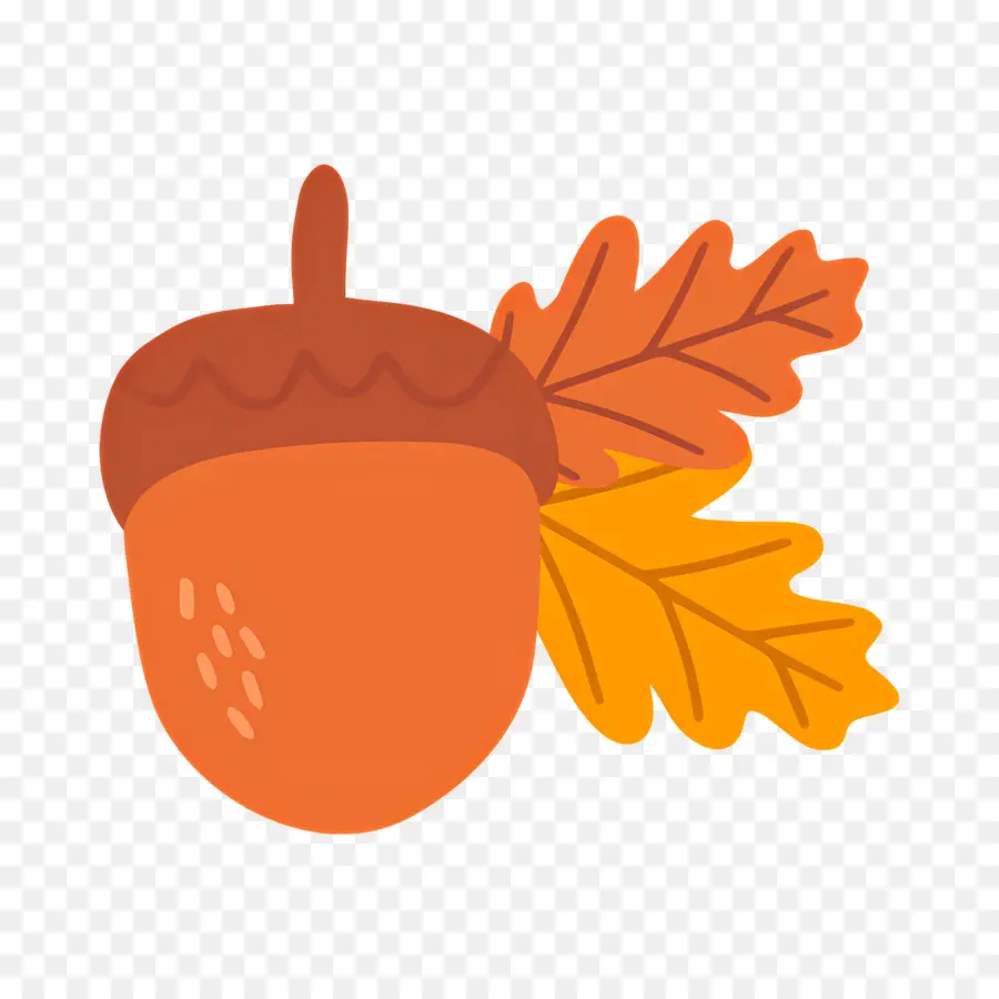 โอ๊ก，Acorn ด้วยใบไม้สีส้ม PNG