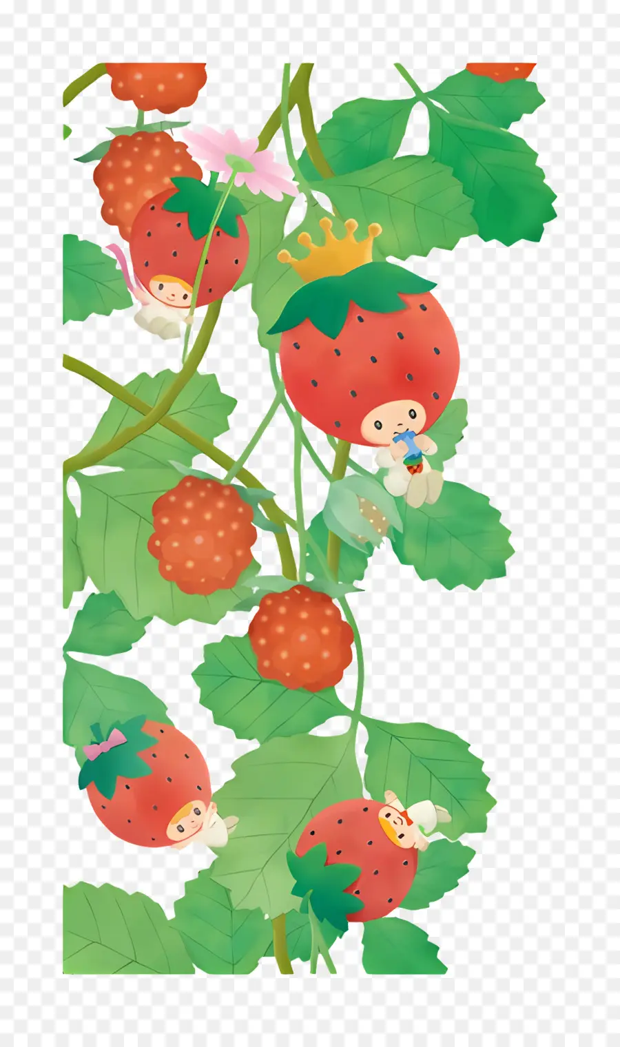 King Strawberry，อักขระสตรอเบอร์รี่บนเถาวัลย์ PNG