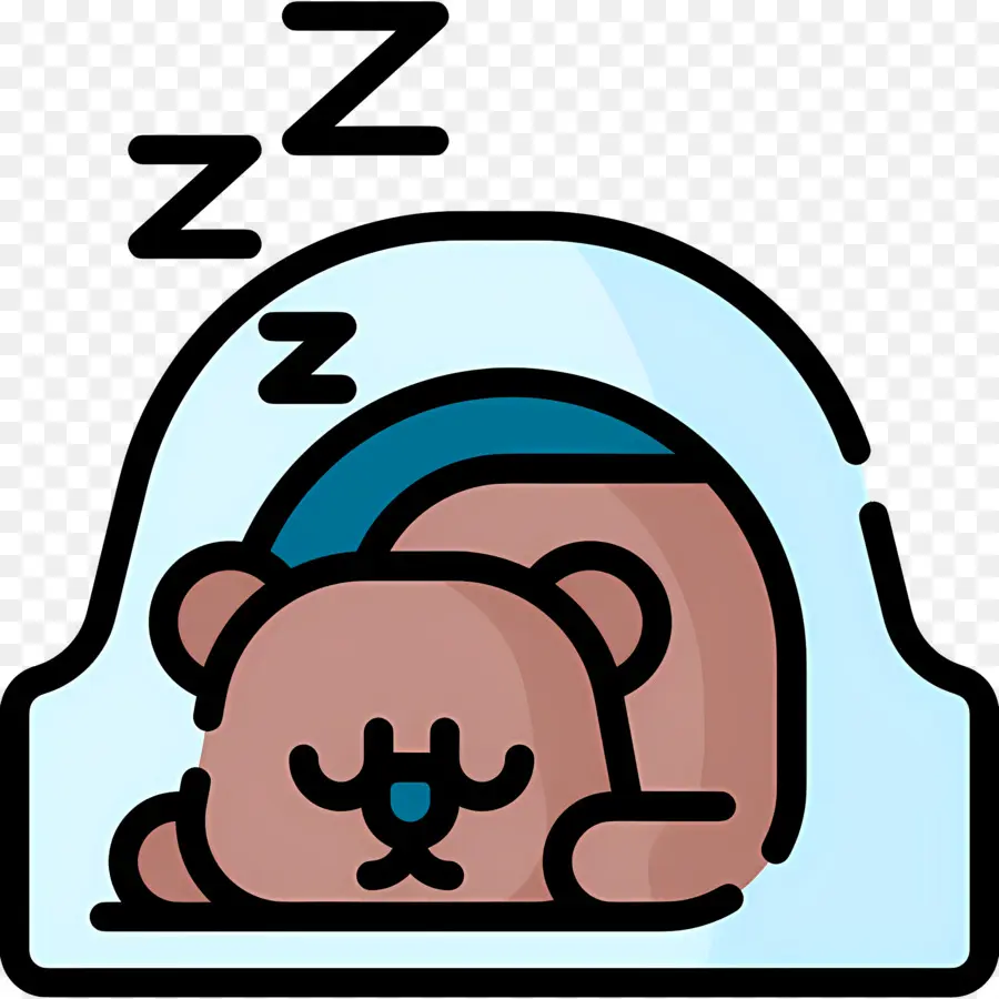 นอนหลับ Zzz，หมีนอนหลับ PNG