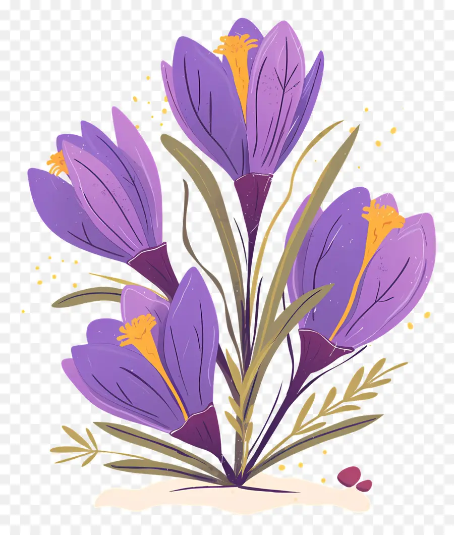 Crocus สีเหลือง，ดอกไม้สีม่วง PNG