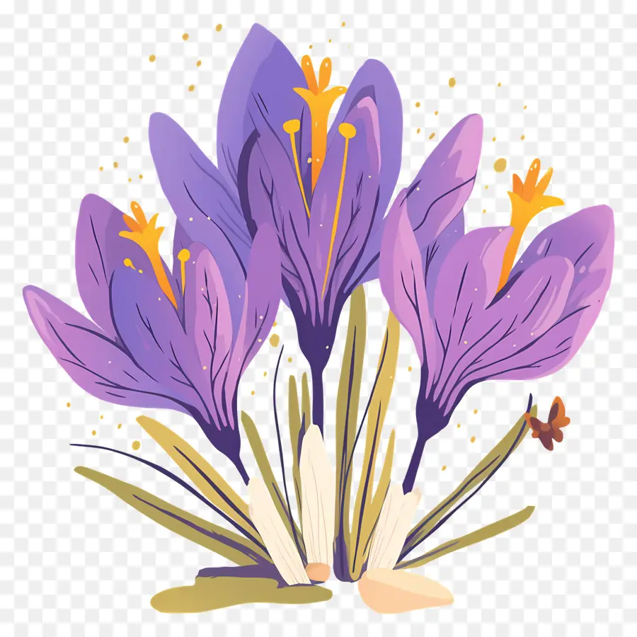 Crocus สีเหลือง，ดอกไม้สีม่วง PNG