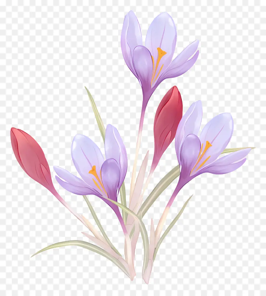 Crocus สีเหลือง，ดอกไม้ Crocus PNG