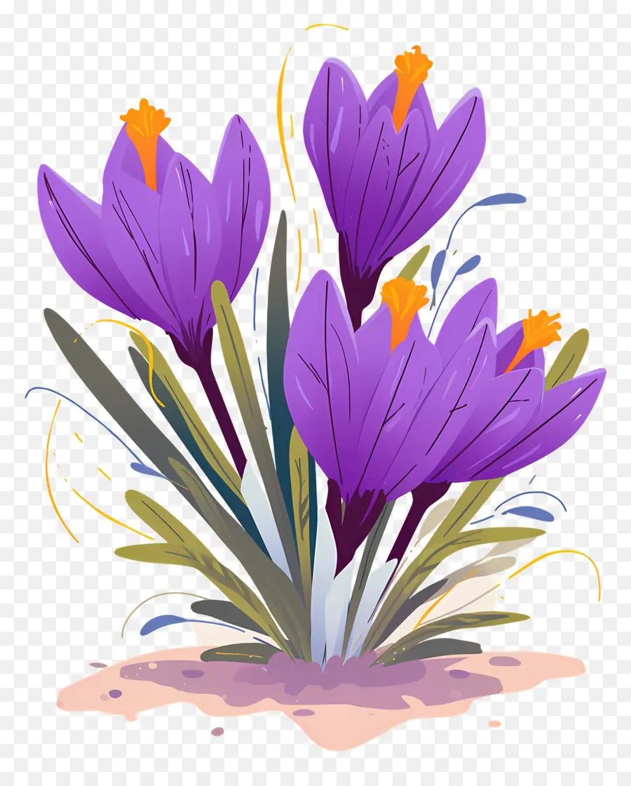 Crocus สีเหลือง，ดอกไม้สีม่วง PNG