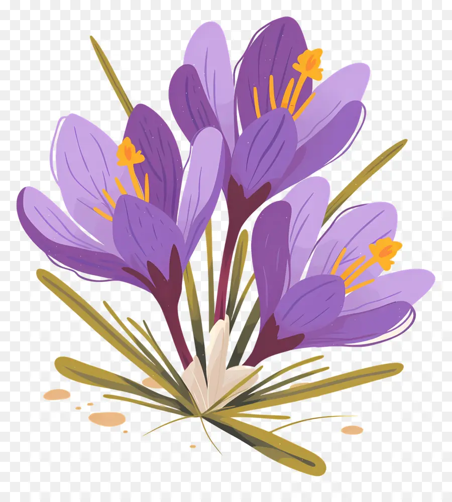 Crocus สีเหลือง，ดอกไม้สีม่วง PNG