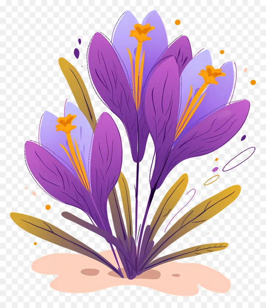 Crocus สีเหลือง，ดอกไม้สีม่วง PNG