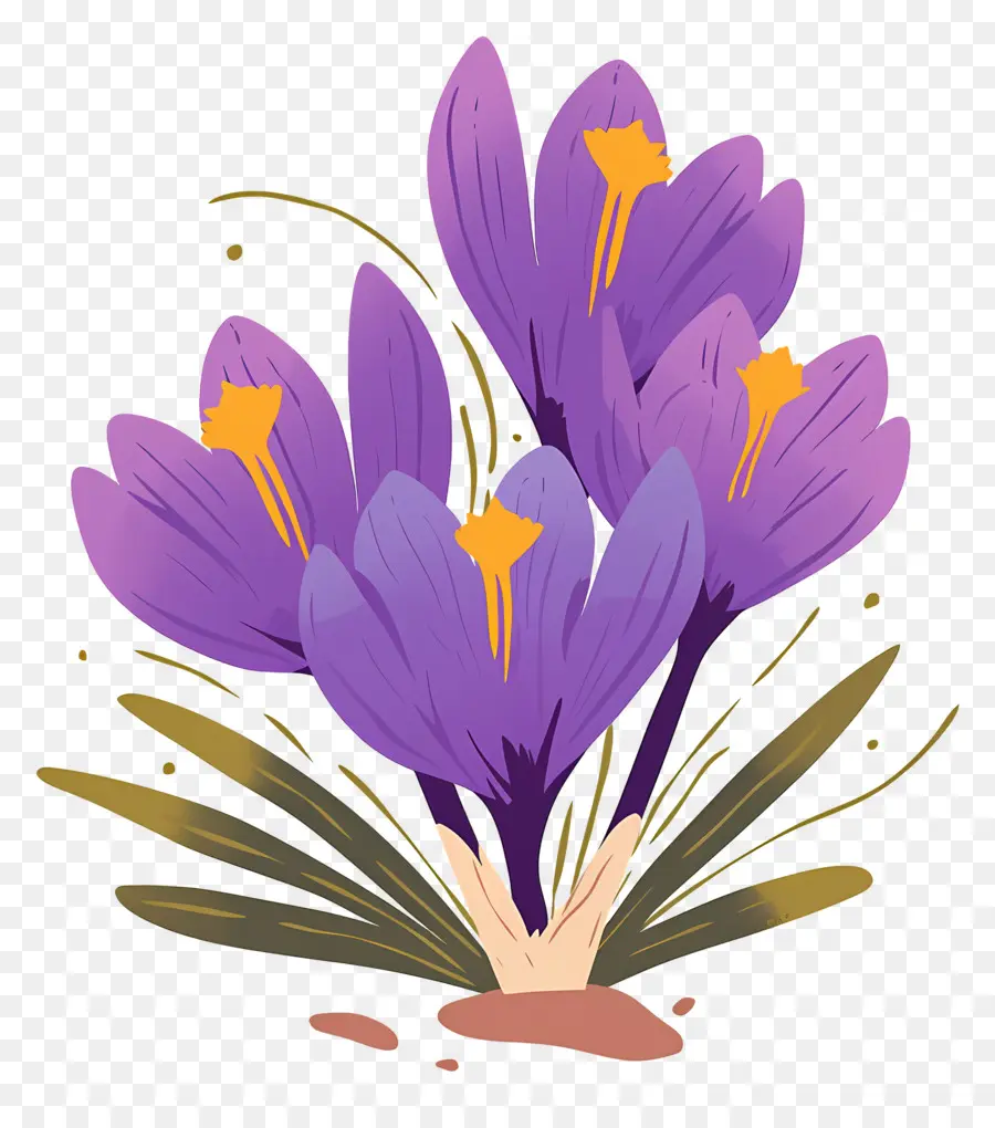 Crocus สีเหลือง，ดอกไม้สีม่วง PNG