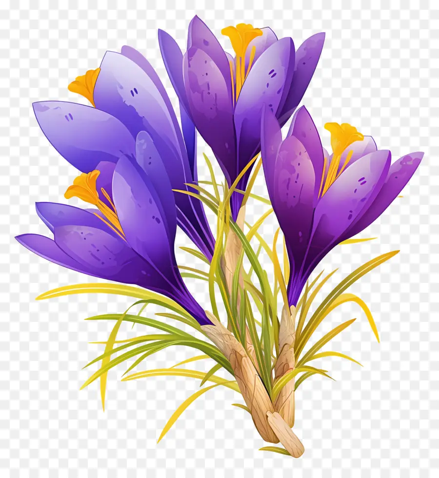 Crocus สีเหลือง，ดอกไม้ Crocus PNG