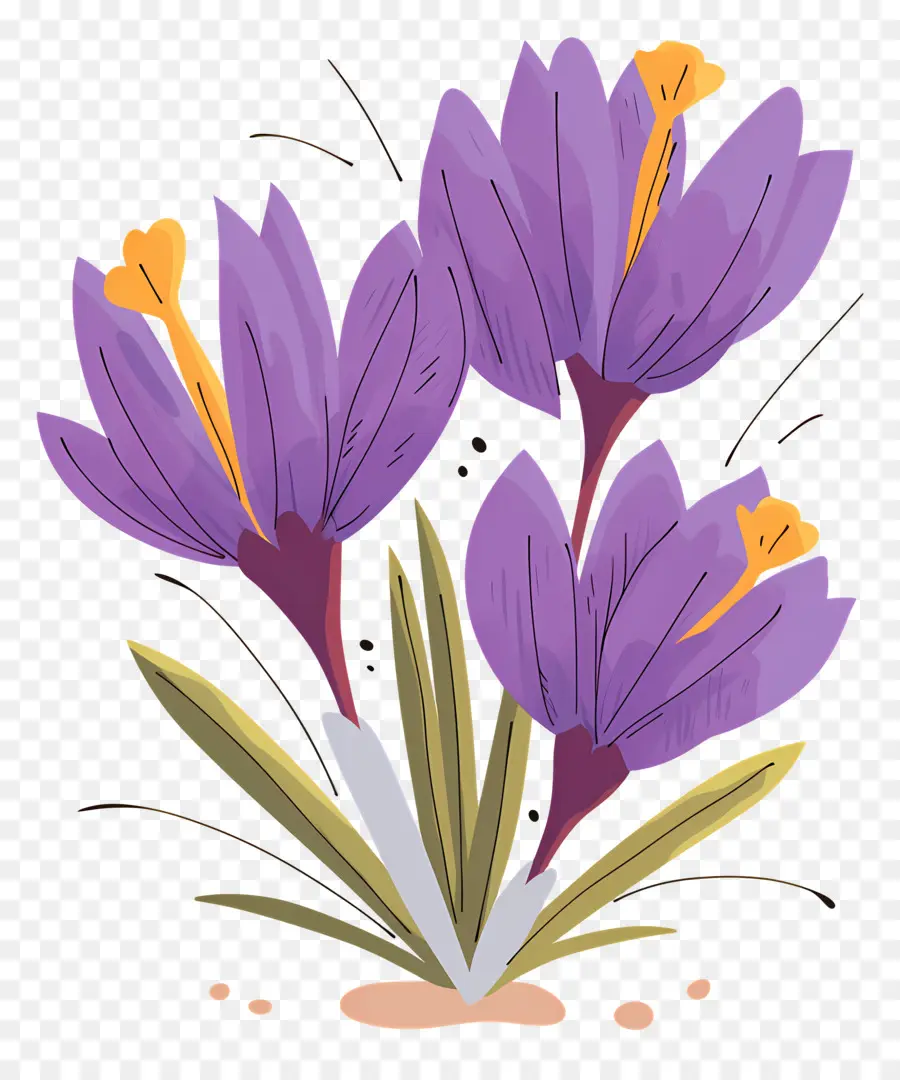 Crocus สีเหลือง，ดอกไม้สีม่วง PNG