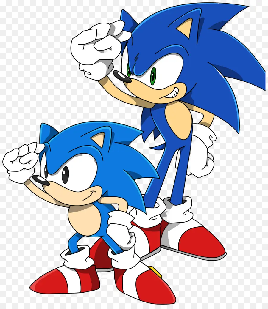 Sonic The Hedgehog，ตัวละครเม่น PNG