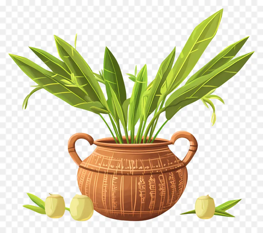 Pongal มีความสุข，หม้อดินที่มีใบไม้ PNG