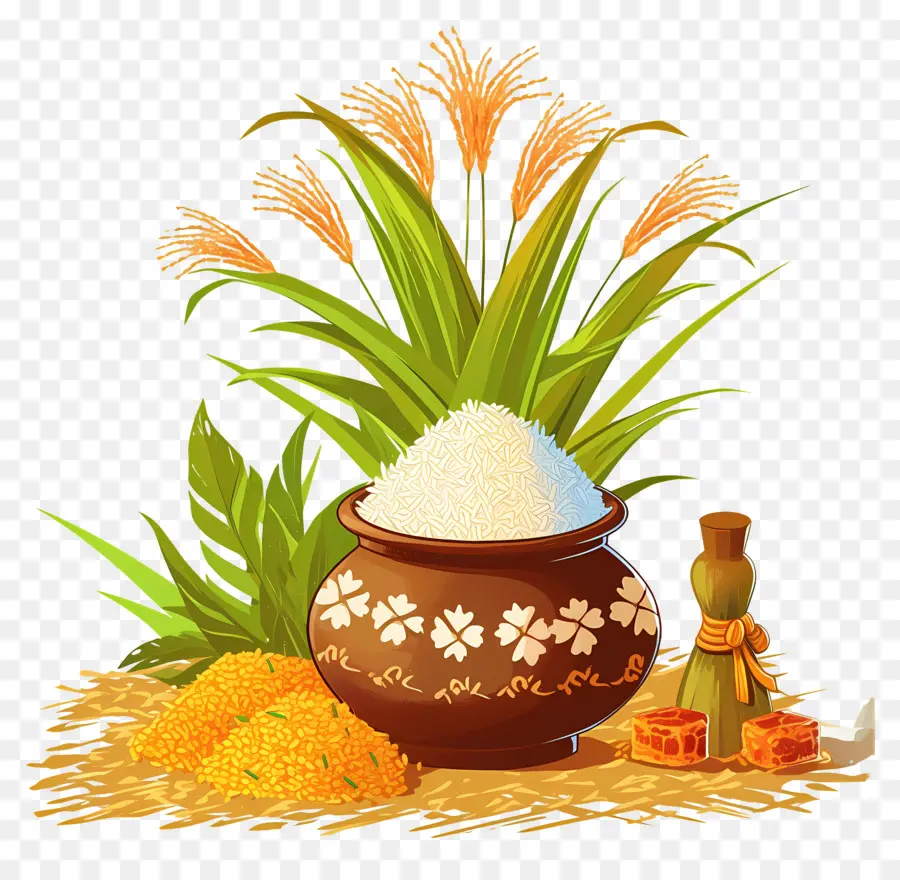 Pongal สามารถ，ข้าวกระป๋อง PNG