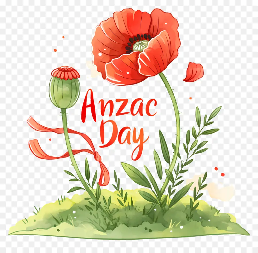 วัน Anzac，Anzac Day Poppies PNG