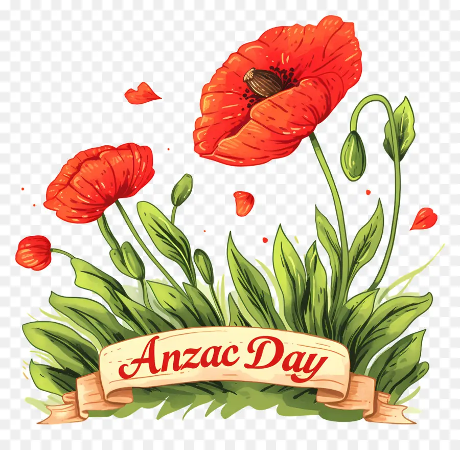 วัน Anzac，Anzac Day Poppies PNG