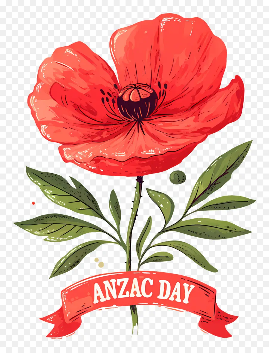 วัน Anzac，Anzac Day Poppies PNG