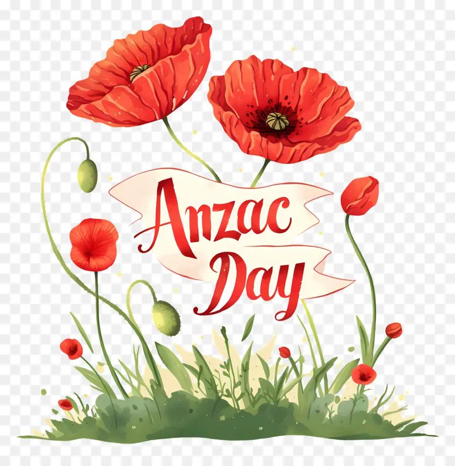 วัน Anzac，Anzac Day Poppies PNG