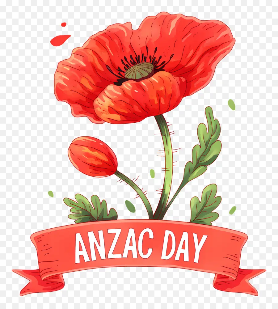 วัน Anzac，Anzac Day Poppies PNG