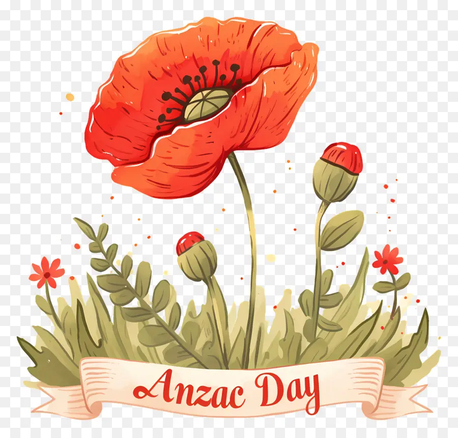 วัน Anzac，Anzac Day Poppies PNG