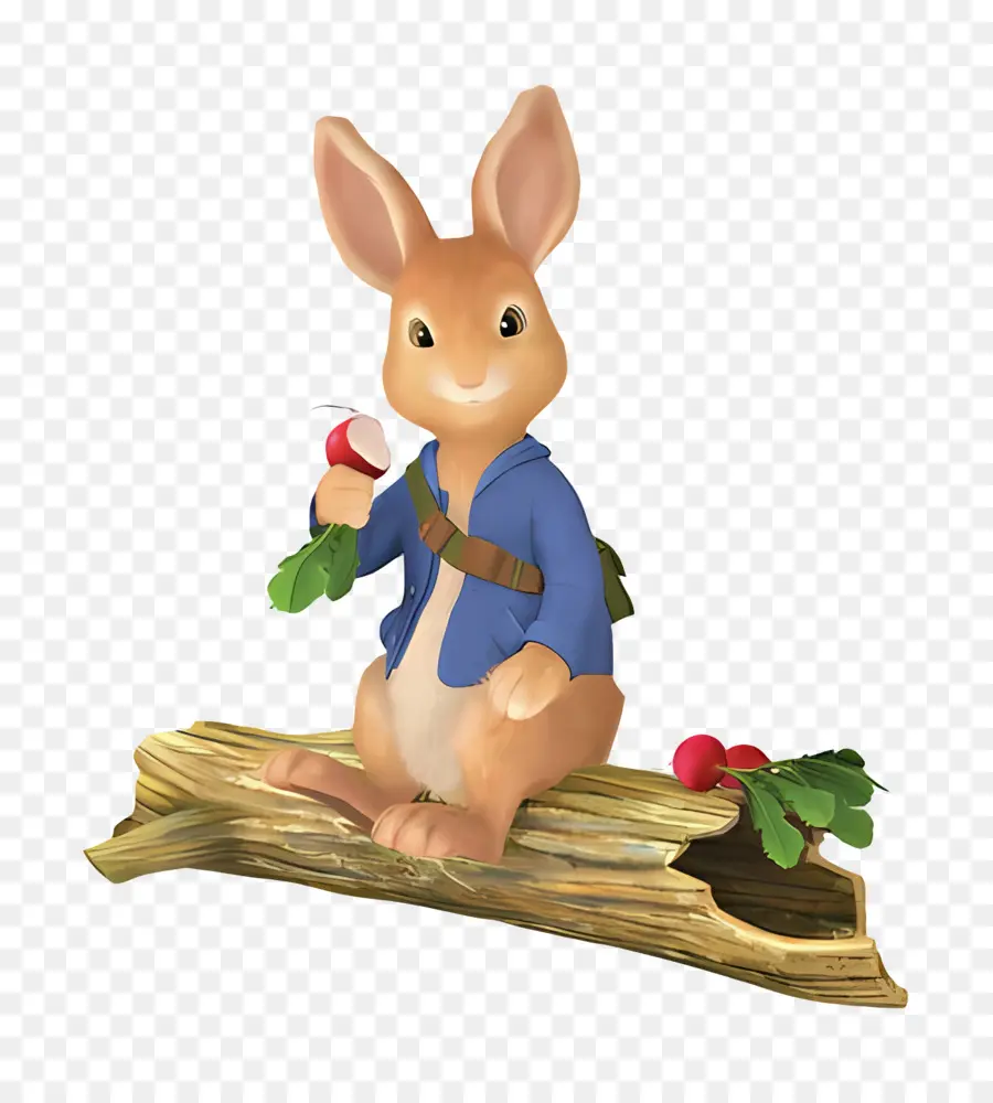 Peter Rabbit，กระต่าย PNG