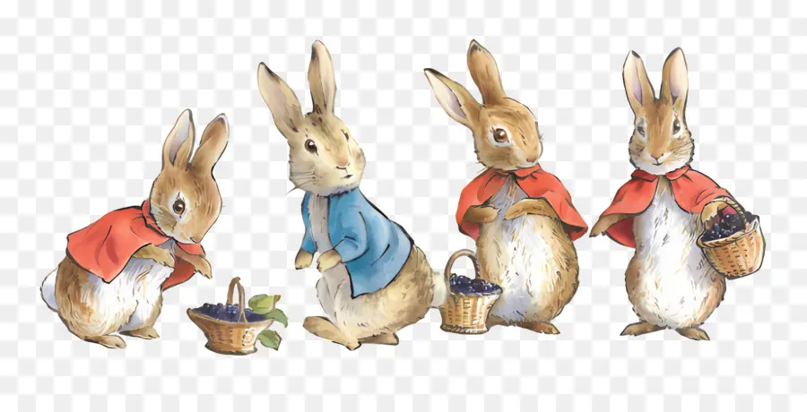 Peter Rabbit，กระต่ายกับตะกร้า PNG