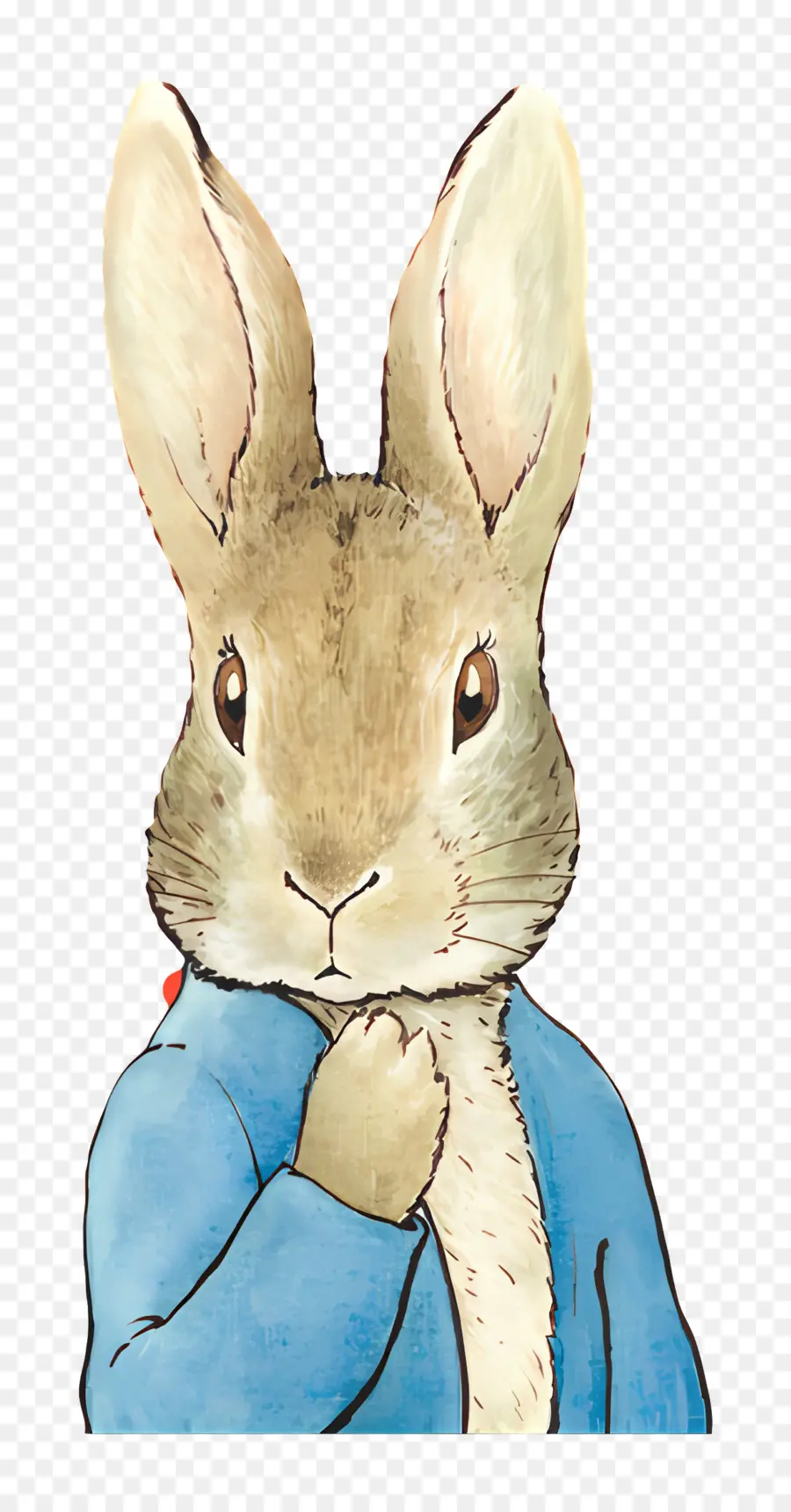 Peter Rabbit，กระต่ายในแจ็คเก็ตสีน้ำเงิน PNG