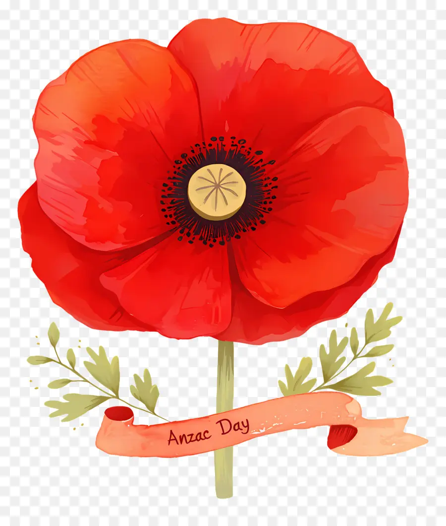 วัน Anzac，Anzac Poppy PNG