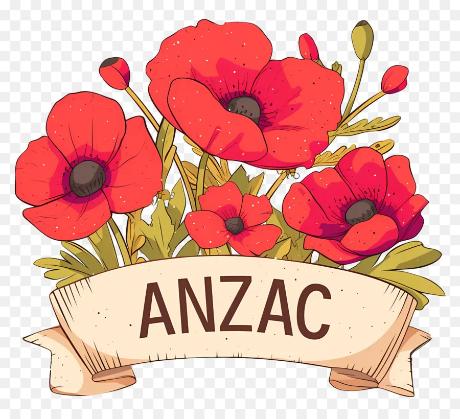 วัน Anzac，การจัดเรียง Anzac Poppy PNG