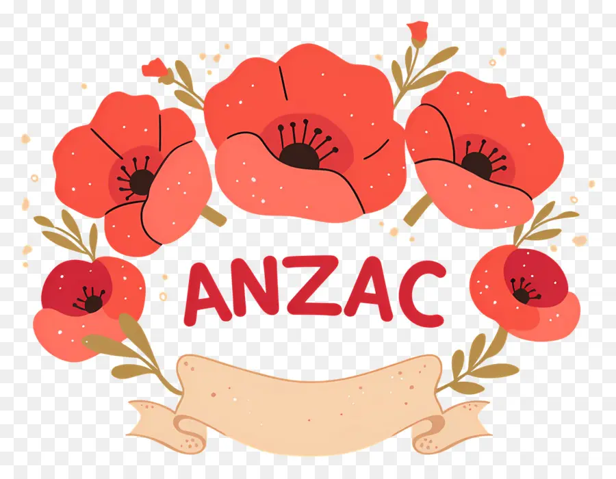 วัน Anzac，ดอกป๊อปปี้สีแดง PNG