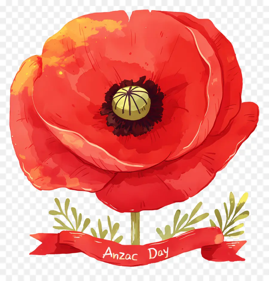 วัน Anzac，Anzac Day Poppies PNG