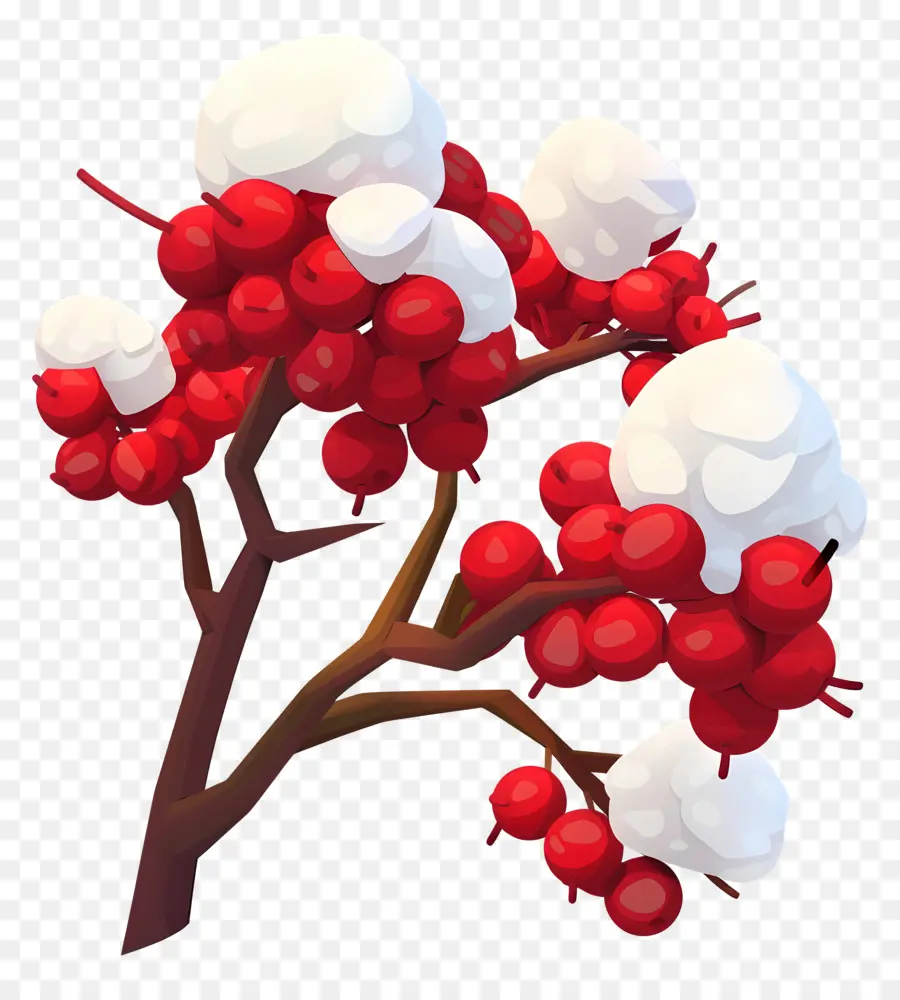 Winterberry，ผลเบอร์รี่หิมะ PNG