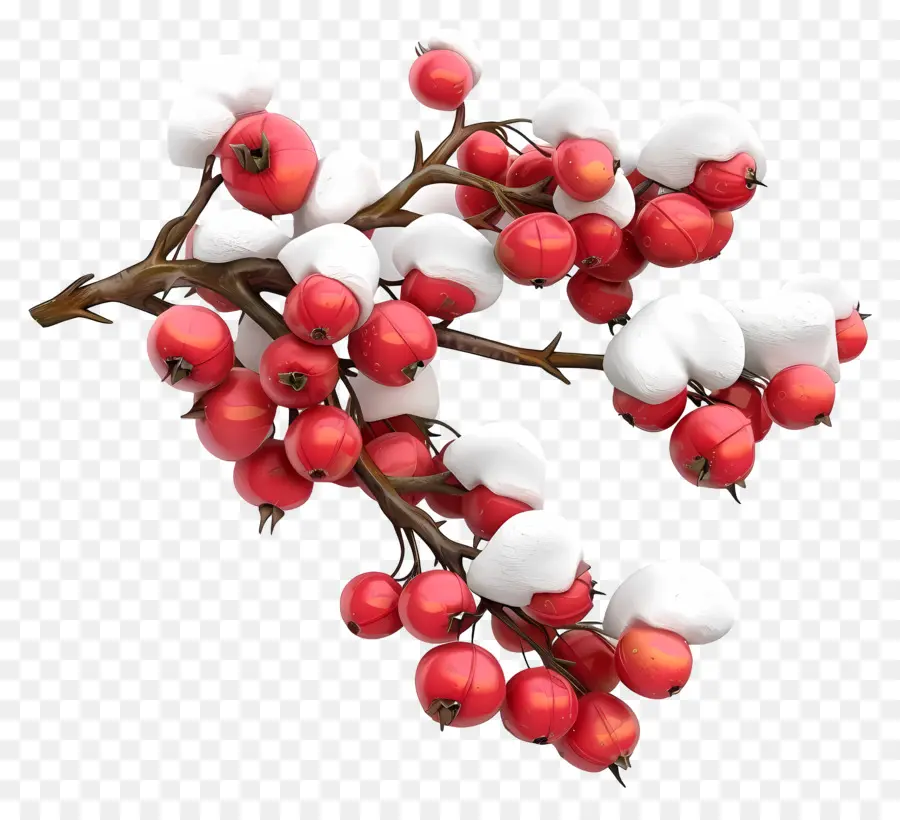 Winterberry，ผลเบอร์รี่หิมะ PNG