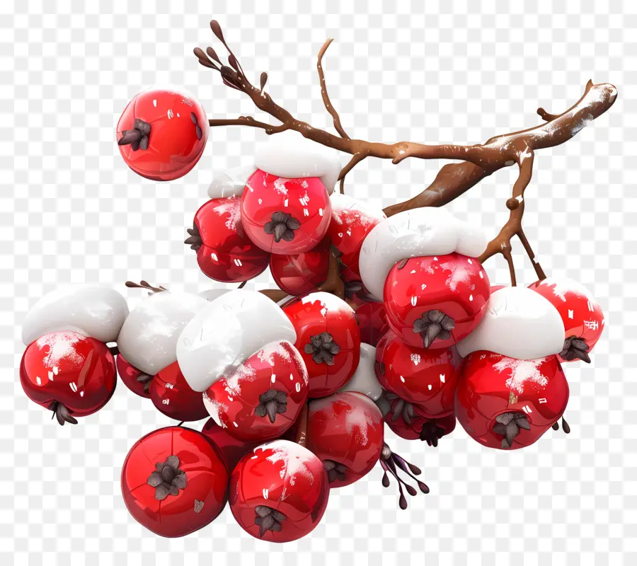 Winterberry，ผลเบอร์รี่สีแดง PNG