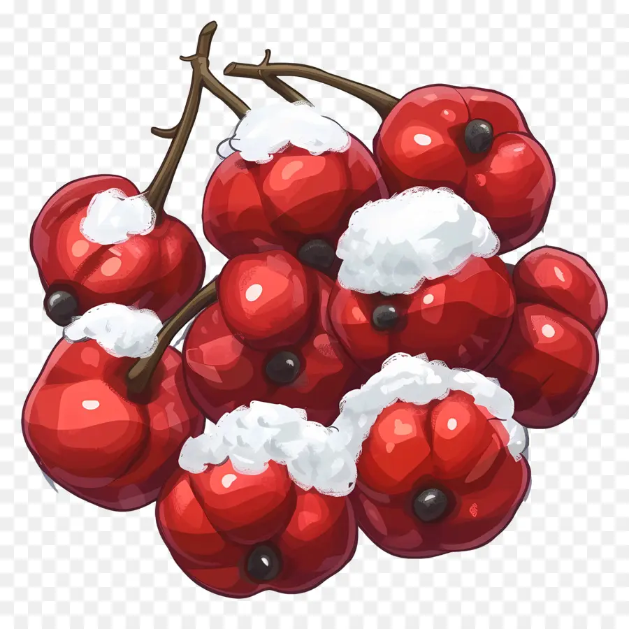 Winterberry，ผลเบอร์รี่สีแดง PNG