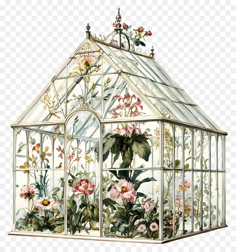 บ้านดอกไม้แก้ว，Floral Terrarium PNG